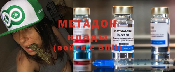 прущие грибы Богданович