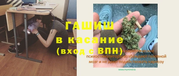 прущие грибы Богданович