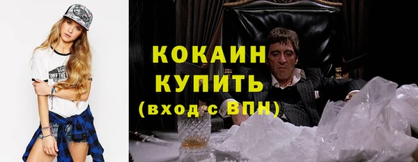 прущие грибы Богданович