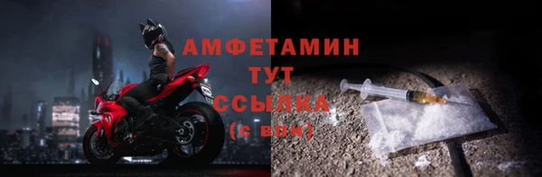 прущие грибы Богданович
