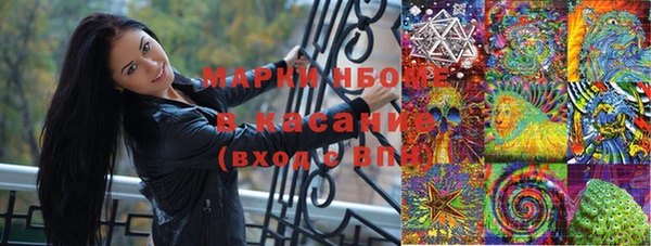 прущие грибы Богданович