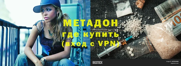 прущие грибы Богданович