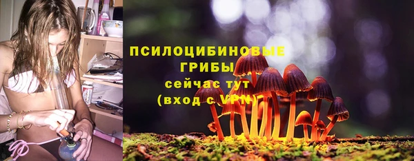 прущие грибы Богданович