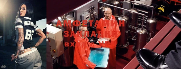 прущие грибы Богданович