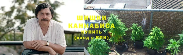 прущие грибы Богданович